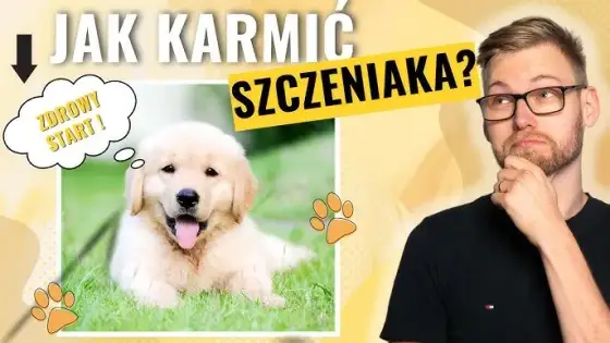 Jak karmić 2-miesięcznego szczeniaka? Zdrowy start dla malucha